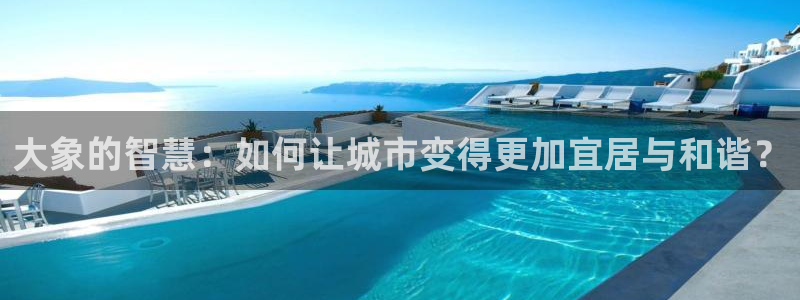 吃瓜小说：大象的智慧：如何让城市变得更加宜居与和谐？