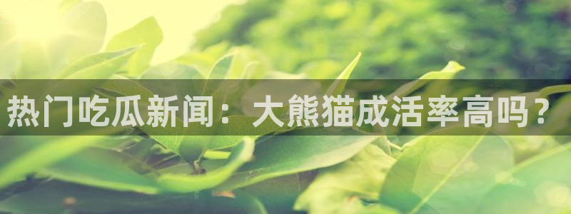 51cg10今日吃瓜