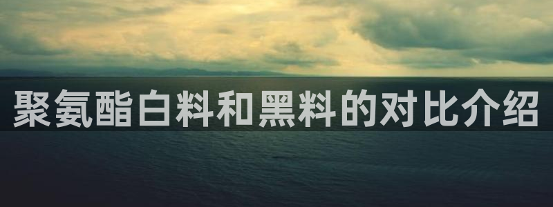 吃瓜电影：聚氨酯白料和黑料的对比介绍