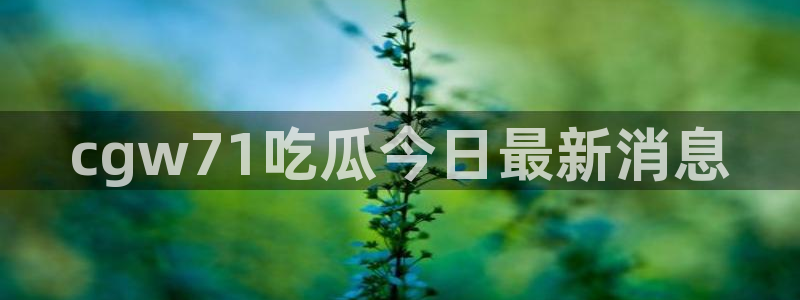 黑料揭秘：cgw71吃瓜今日最新消息