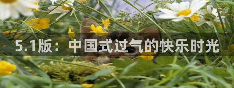 吃瓜最新：5.1版：中国式过气的快乐时光
