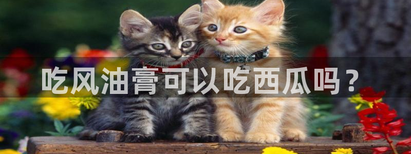 黑料 爆料：吃风油膏可以吃西瓜吗？