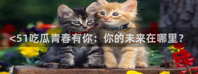51吃瓜网今日吃瓜入口：<51吃瓜青春有你：你的未来在哪里？