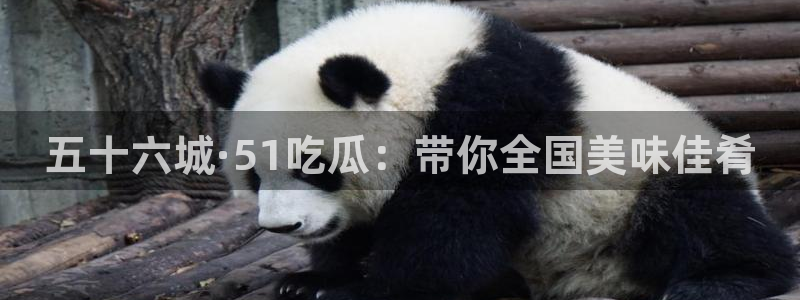 51吃瓜今日吃瓜入口最新