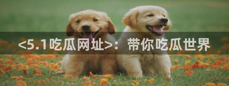 黑料免费