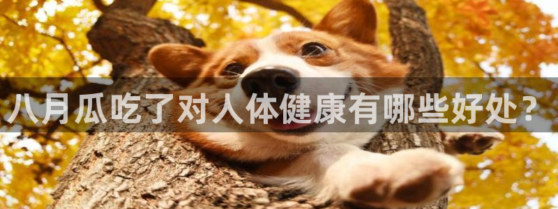 吃瓜胃酸怎么办：八月瓜吃了对人体健康有哪些好处？