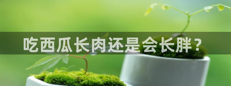 91吃瓜今日吃瓜入口：吃西瓜长肉还是会长胖？