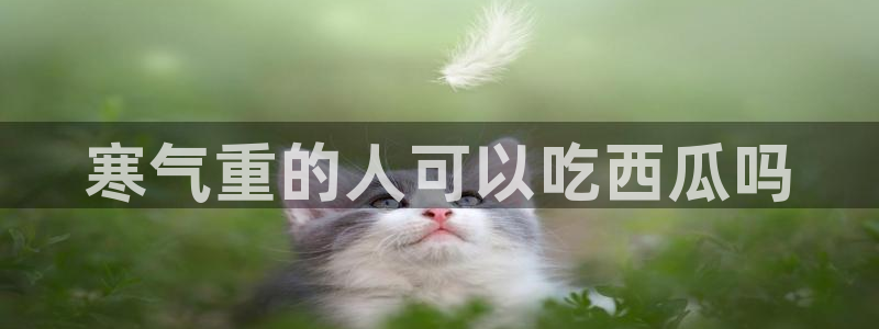91吃瓜网今日吃瓜入口