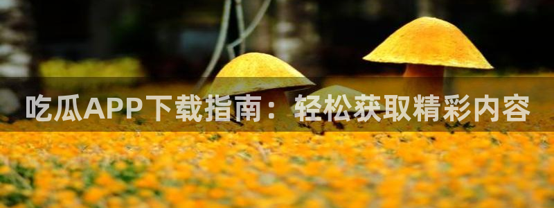 51吃瓜onlyfans网黄：吃瓜APP下载指南：轻松获取精彩内容
