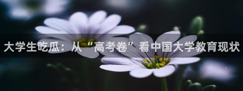 黑料下载：大学生吃瓜：从“高考卷”看中国大学教育现状