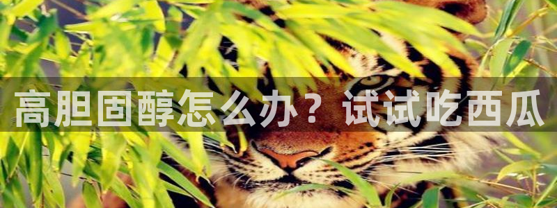 www.黑料.com：高胆固醇怎么办？试试吃西瓜