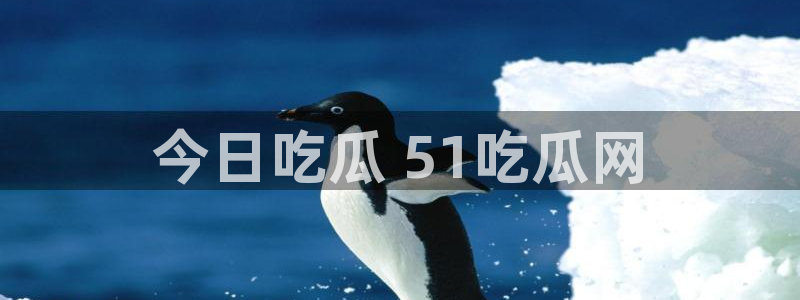 吃瓜网 今日吃瓜 热门大瓜