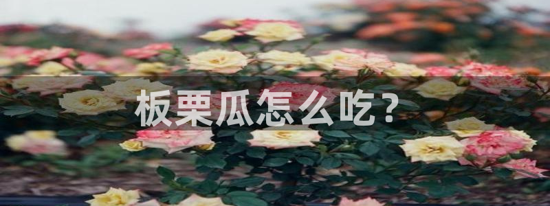 风静言我在年代文里吃瓜看戏：板栗瓜怎么吃？