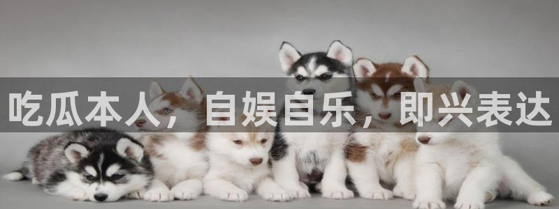 各种网红爆料吃瓜：吃瓜本人，自娱自乐，即兴表达